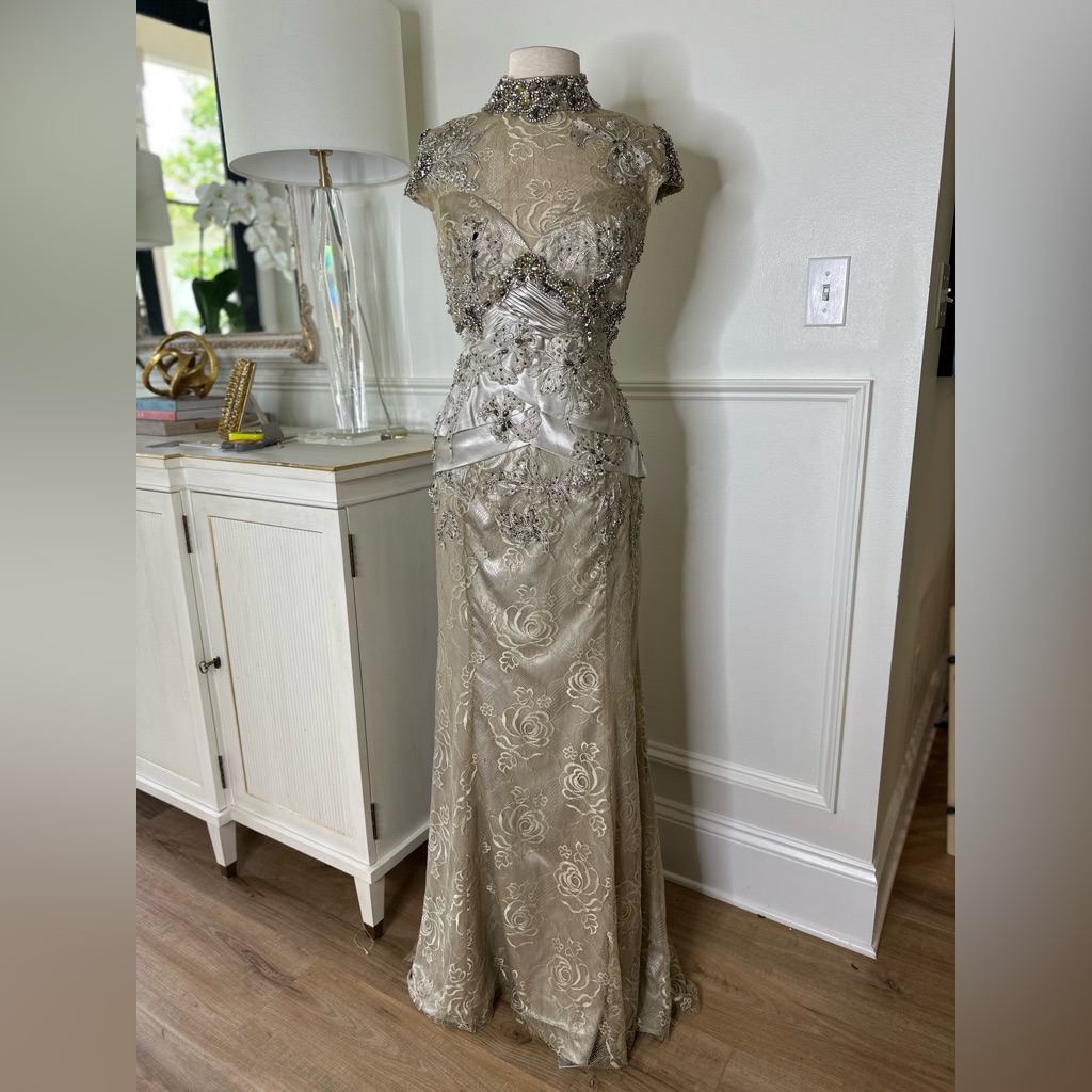 Jovani Silver Champagne Embellished Lace Evening Gown